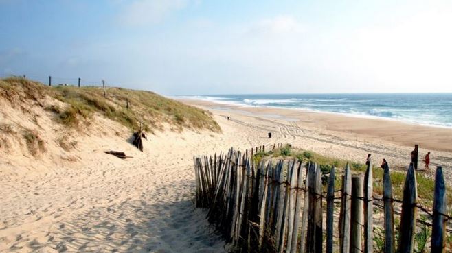 L’essentiel pour réussir vos vacances dans les Landes