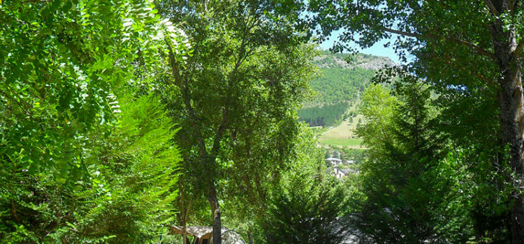 Les plus beaux campings familiaux du Tarn